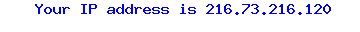 Your IP Address